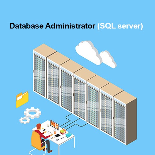 Database Administrator (SQL server)